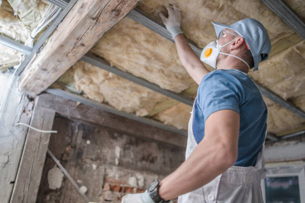 Trusted Monessen, PA Insulation Contractor Experts